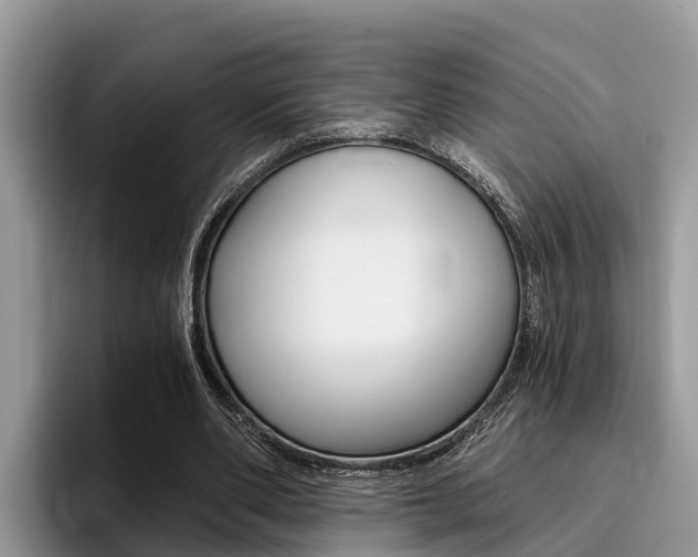 X0000096180486200801180853