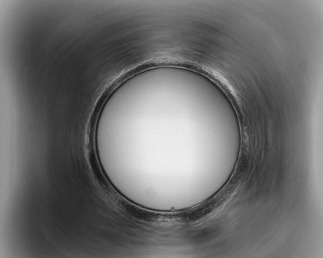 X0000096180487200801180853