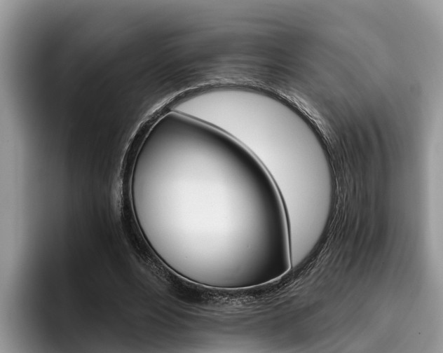 X0000096180488200801180853