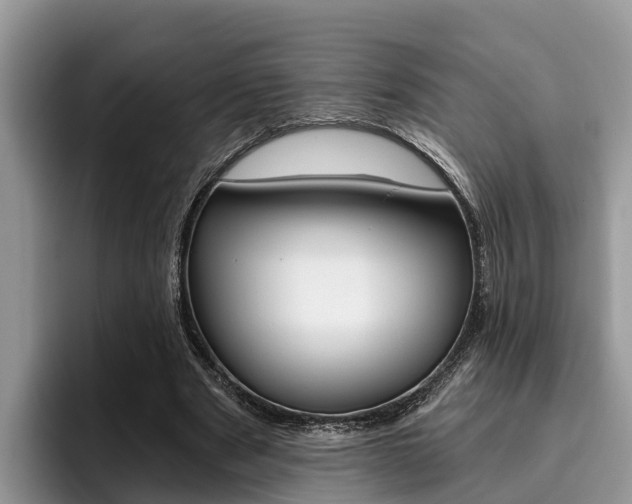 X0000096180489200801180853