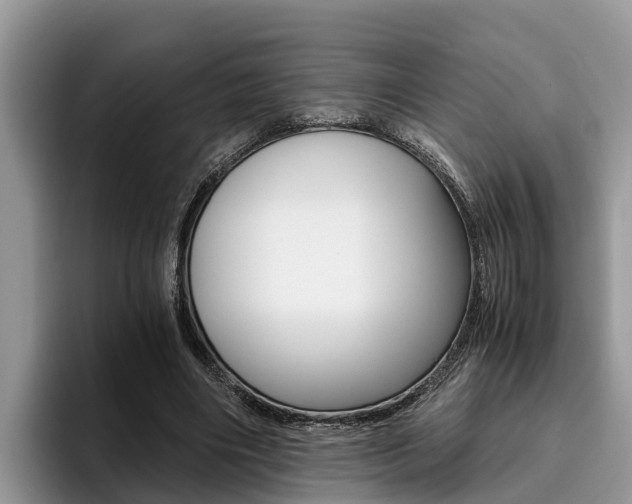 X0000096180490200801180853