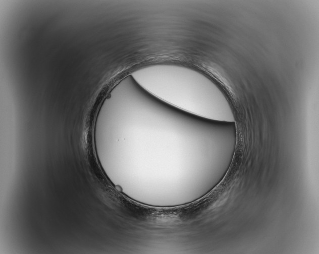 X0000096180491200801180853