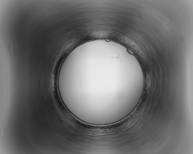 X0000096180494200801180853