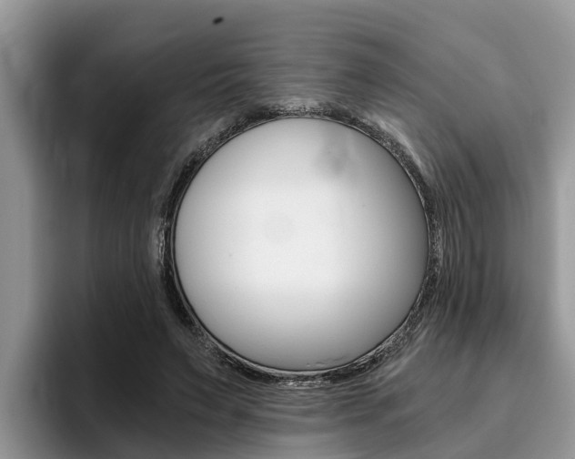 X0000096180495200801180853