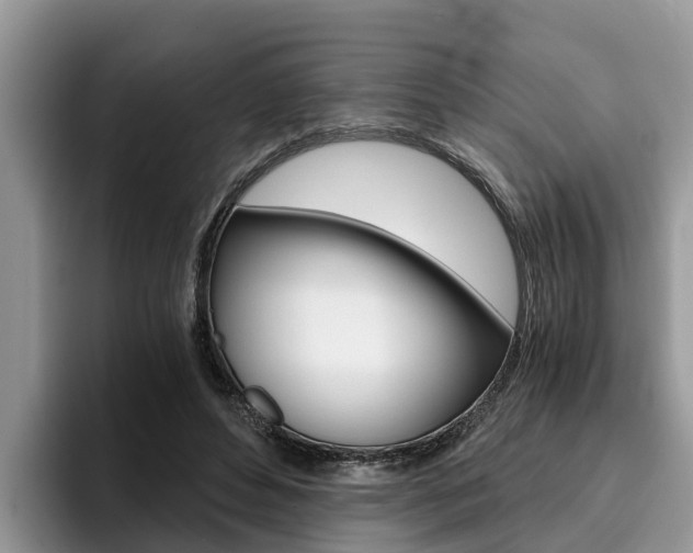 X0000096180496200801180853