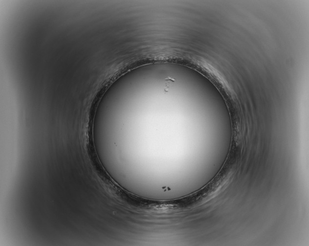 X0000096180497200801180853