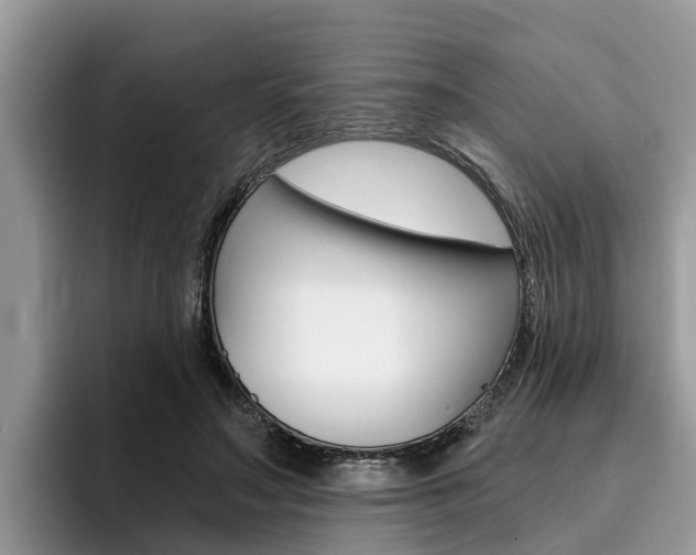 X0000096180499200801180853