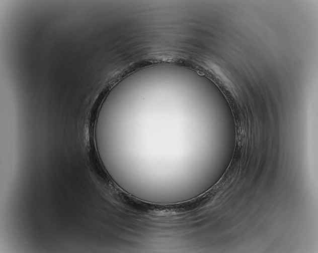 X0000096180500200801180853