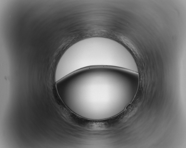 X0000096180501200801180853