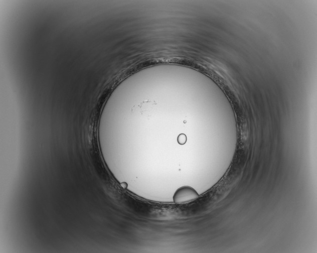 X0000096180503200801180853