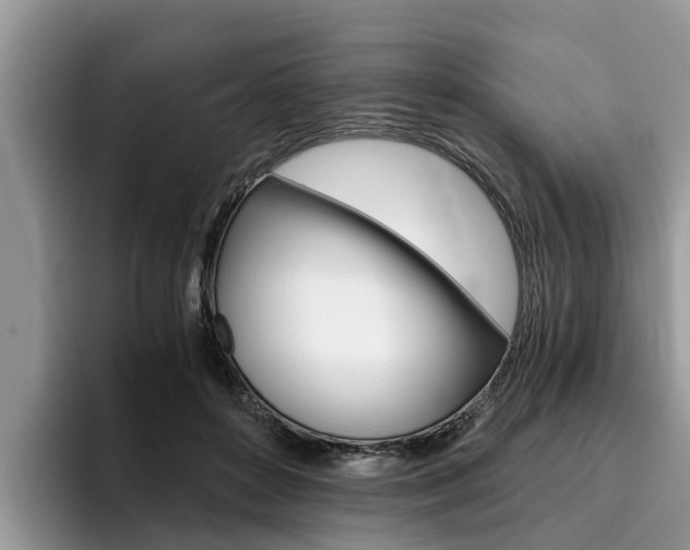 X0000096180504200801180853