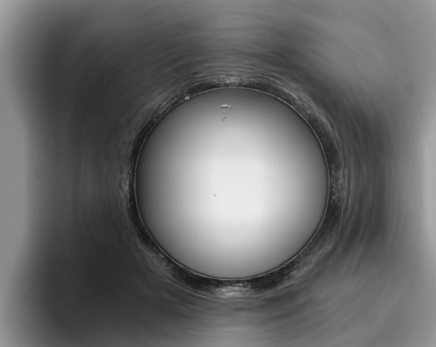 X0000096180505200801180853