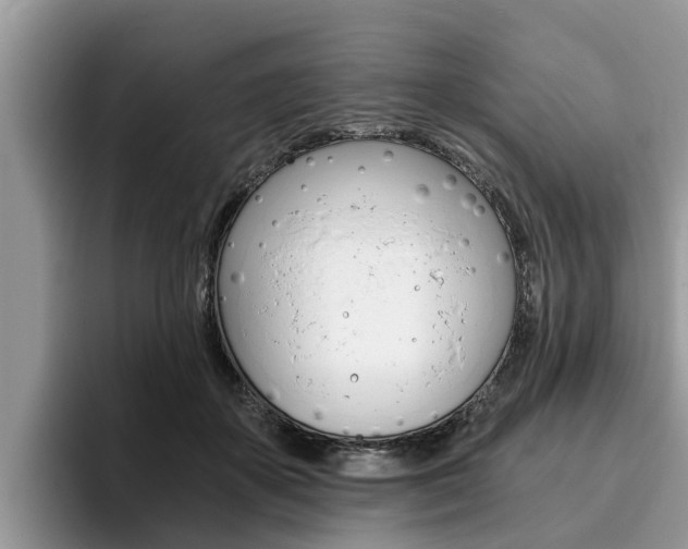X0000096180507200801180853