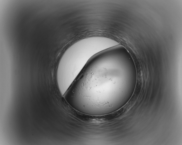 X0000096180508200801180853