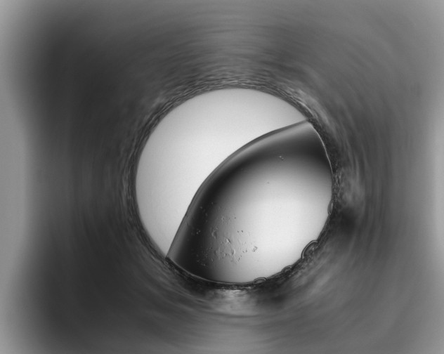 X0000096180509200801180853