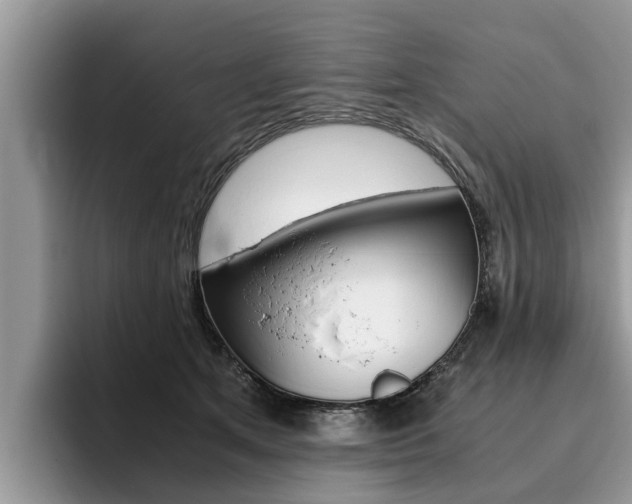 X0000096180513200801180853