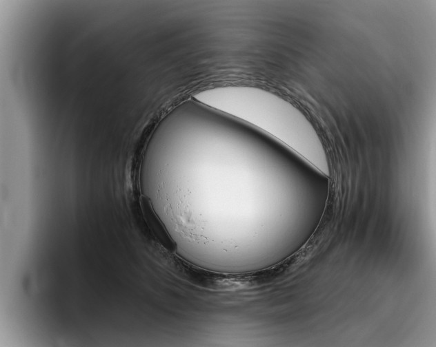 X0000096180516200801180853