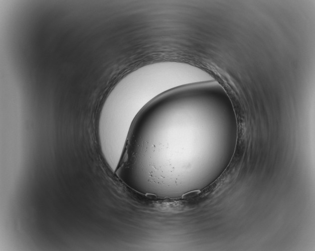X0000096180517200801180853