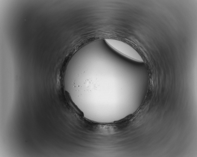 X0000096180520200801180853