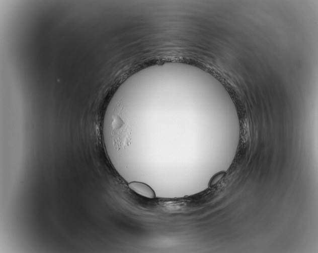 X0000096180522200801180853