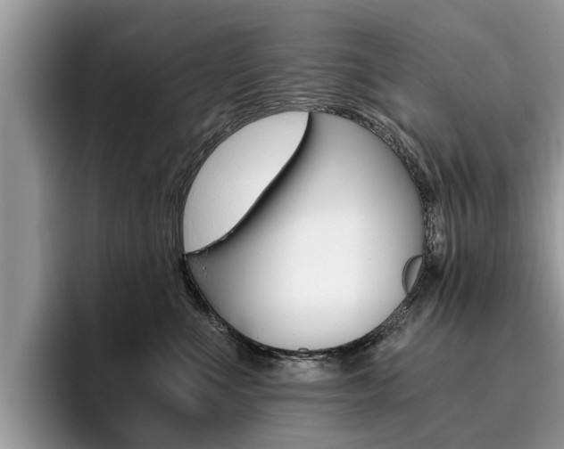 X0000096180523200801180853