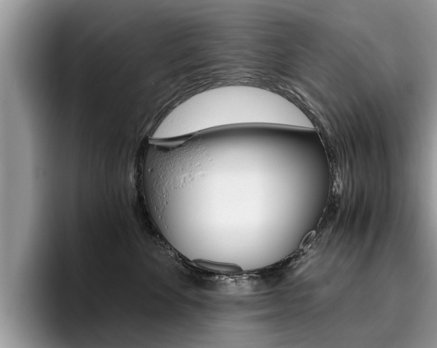 X0000096180524200801180853