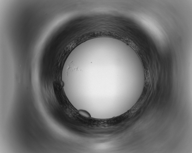 X0000096180526200801180853