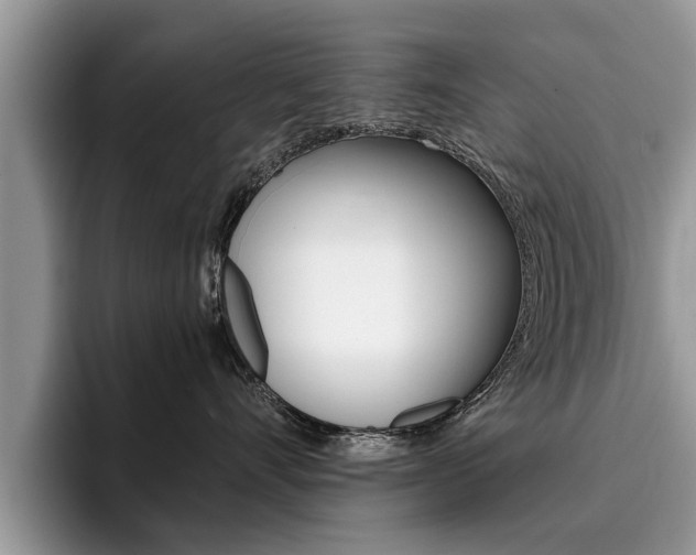 X0000096180528200801180853