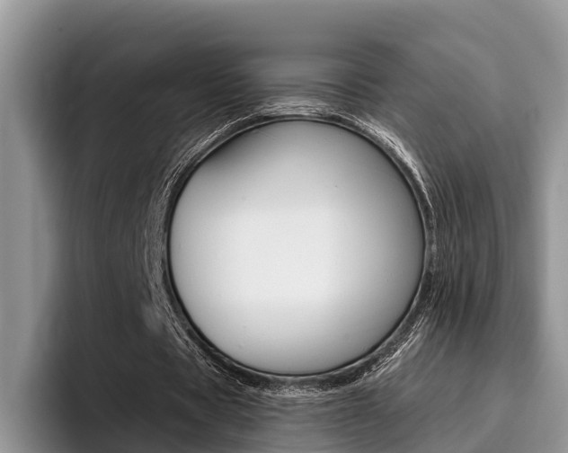 X0000096180529200801180852