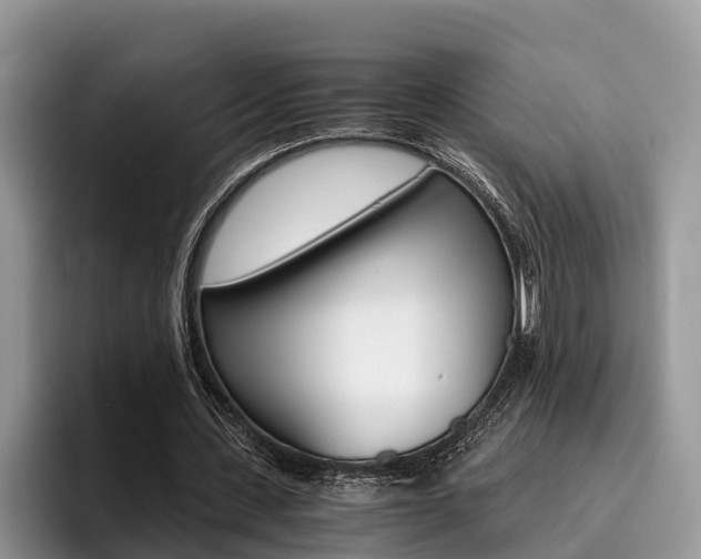 X0000096180531200801180852