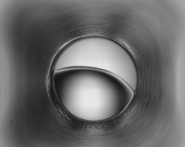 X0000096180532200801180852