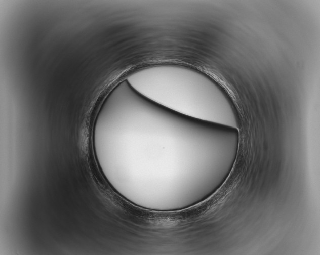 X0000096180533200801180852
