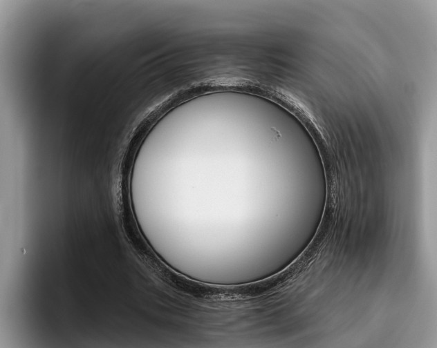 X0000096180535200801180852