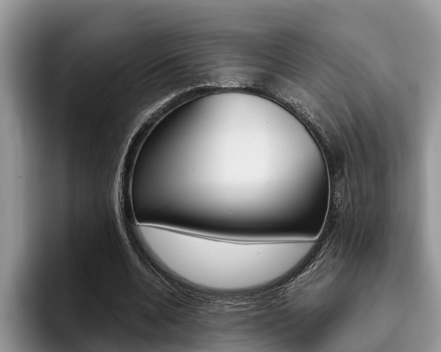 X0000096180536200801180852