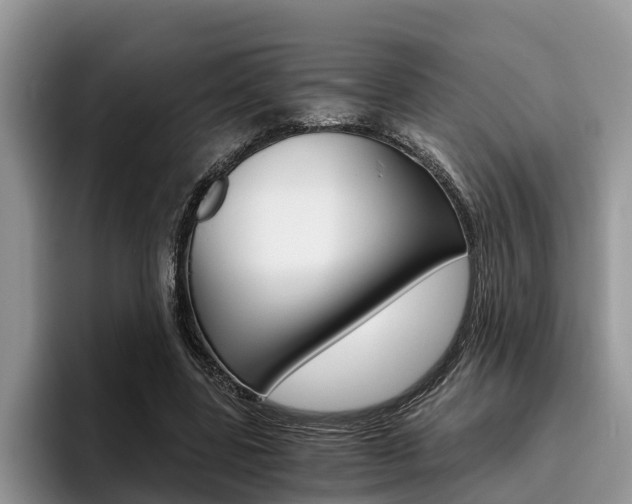 X0000096180539200801180852