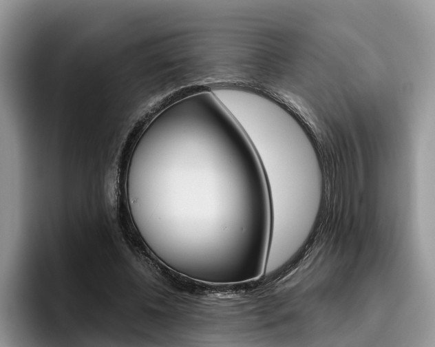 X0000096180540200801180852