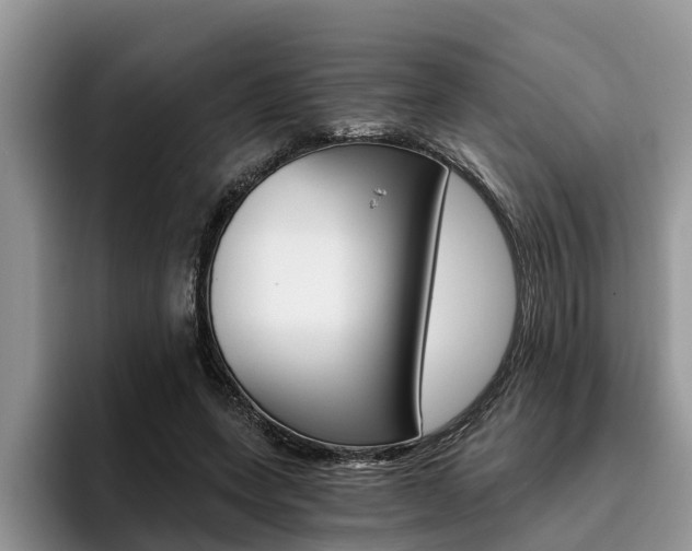 X0000096180543200801180852