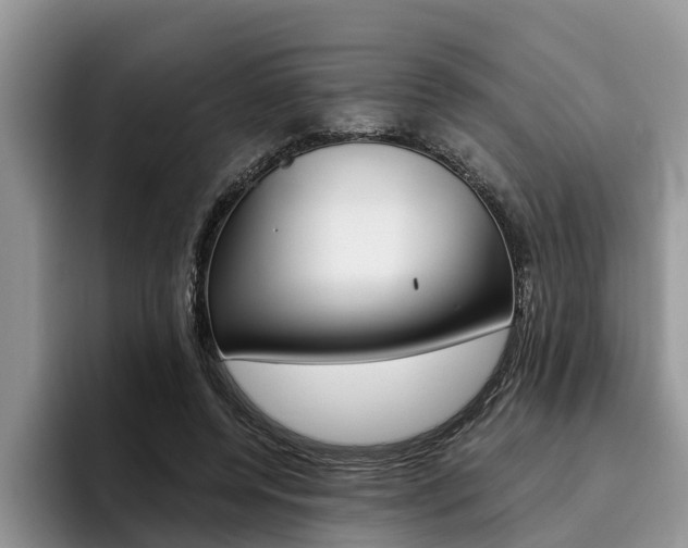 X0000096180544200801180852
