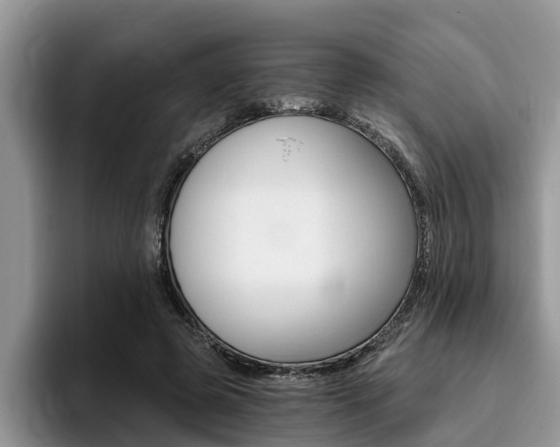 X0000096180545200801180852