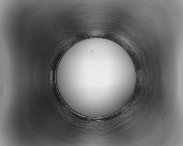 X0000096180550200801180852