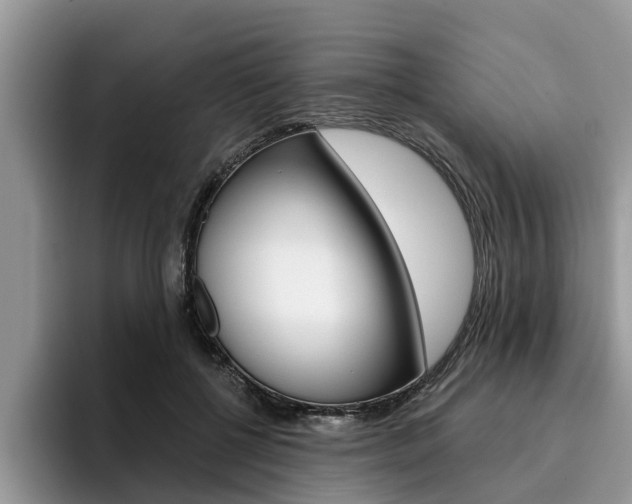 X0000096180552200801180852