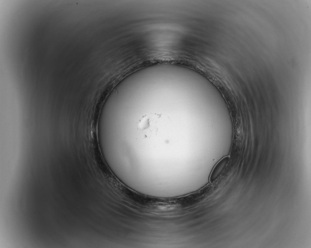 X0000096180555200801180852