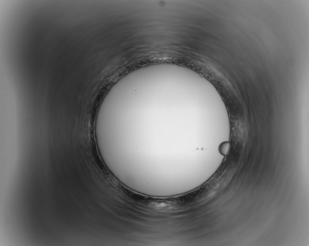 X0000096180557200801180852