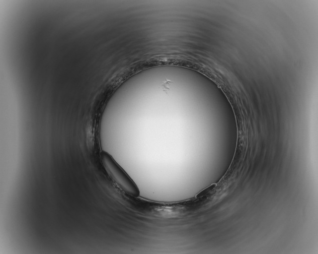 X0000096180558200801180852