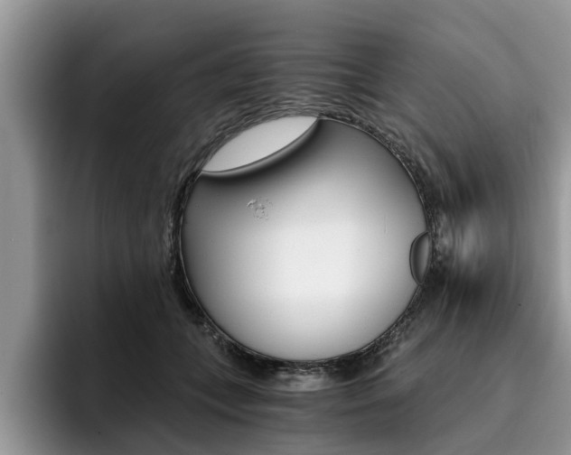 X0000096180559200801180852