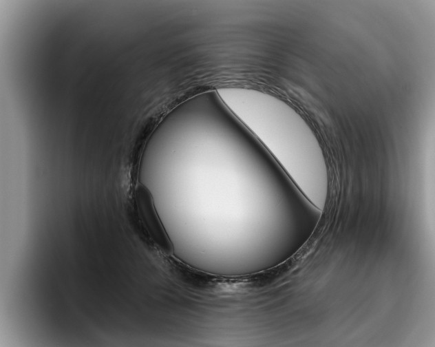 X0000096180560200801180852