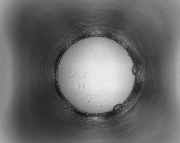 X0000096180561200801180852