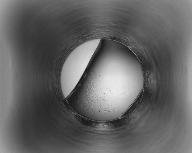 X0000096180562200801180852