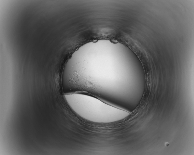 X0000096180563200801180852