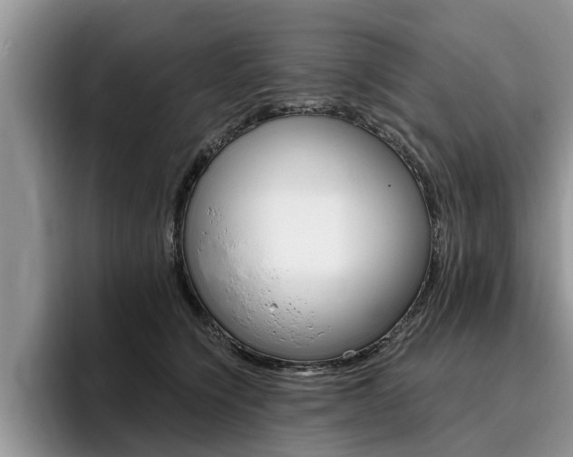 X0000096180564200801180852
